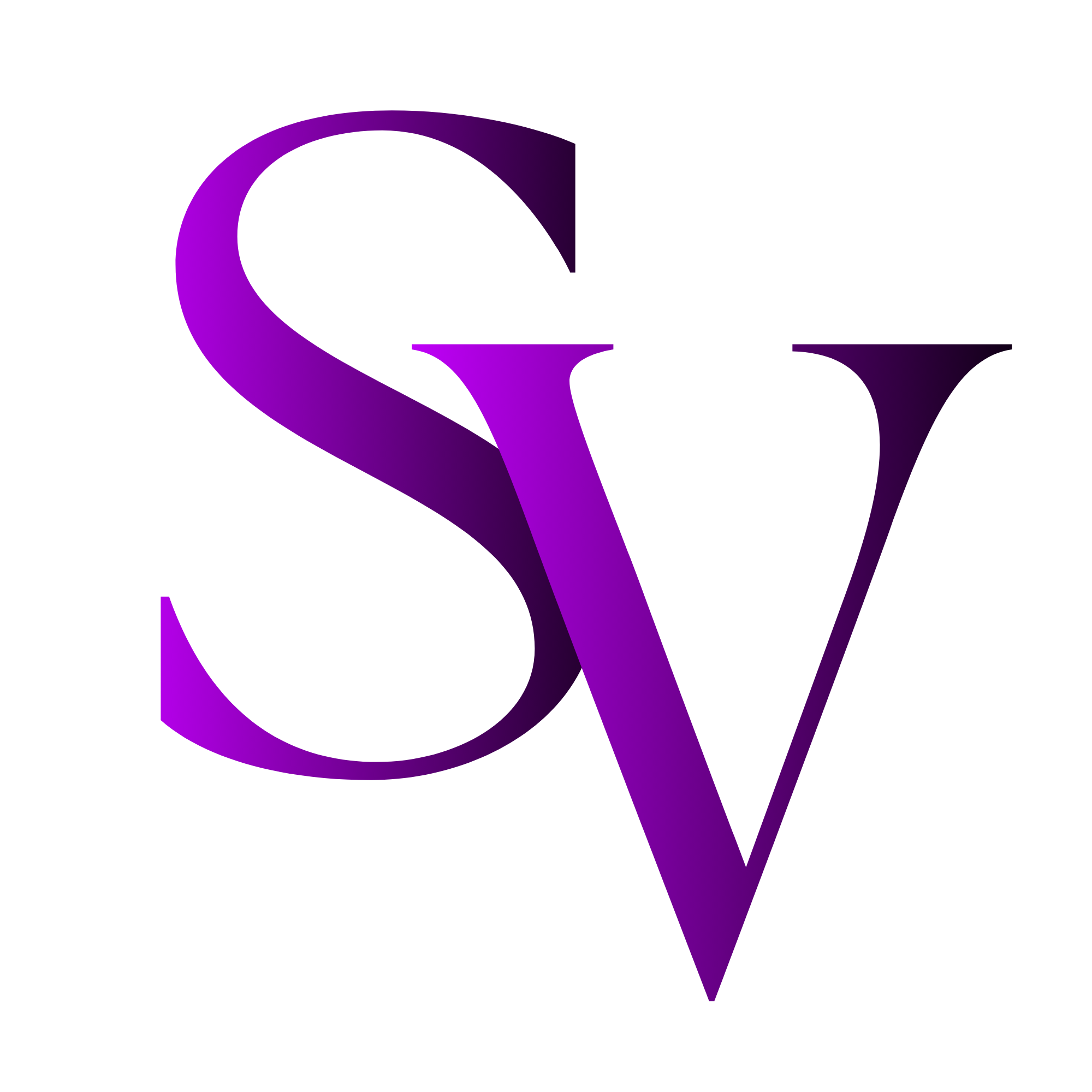 Structura Vision Logo